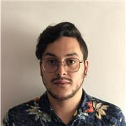 Historia Antigua, Historia Latinoamericana, Etnohistoria e Historia Política de Colombia. Tutor de investigación